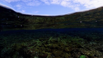 魚眼で写した空とサンゴ礁の海