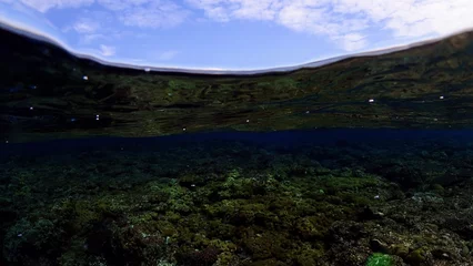 Fotobehang 魚眼で写した空とサンゴ礁の海 © pentagon_uosaki