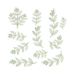 Hand drawn decorative leaf ornament collection vector art