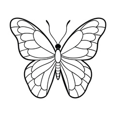Butterfly illustration coloring page for kids