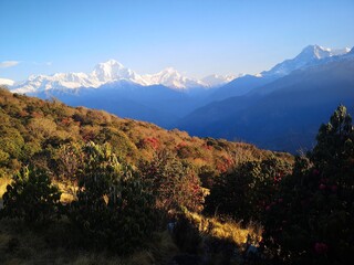 A majestic expanse of towering peaks, draped in blankets of mist, stretching endlessly into the horizon. Breathtaking and awe-inspiring.