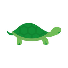 Turtle Flat Style