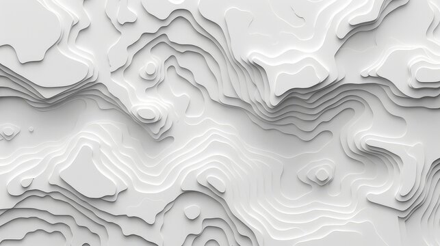 White monochrome topography map