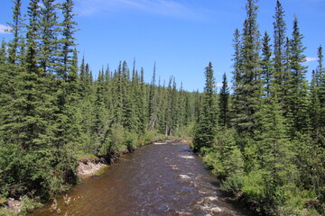 Fototapeta na wymiar Looking Down The Creek, Nordegg, Alberta