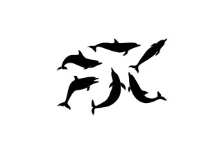 Dolphins silhouettes set.Cartoon flat style design.Outline vector illustration set of dolphins jumping, swimming, smiling. Happy funny dolphin silhouette in various poses isolated on white.