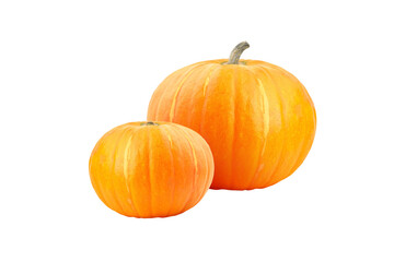 Pumpkins on transparent background