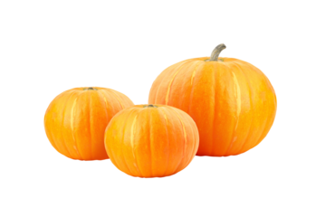 Pumpkins on transparent background