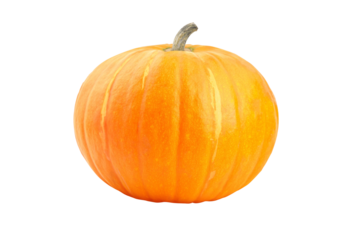 Pumpkin on transparent background