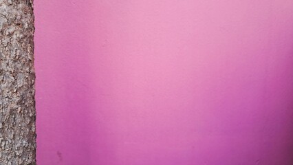 pink walls and tree trunks