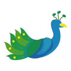 Peacock Flat Style