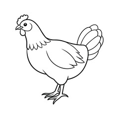 Chicken illustration coloring page for kids