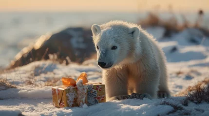 Fototapete the endearing moment of a baby polar bear cub interacting with a birthday gift in a snowy Arctic landscape © Tina