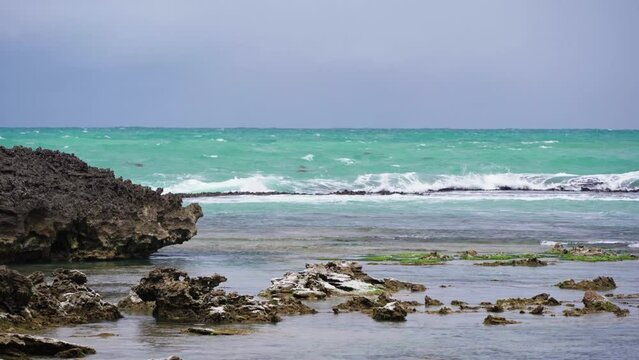 Rocky beach on the Bowman Scenic Drive in Beachport, South Australia