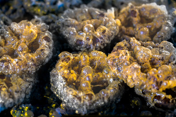 Fried mung bean wheel cookies or Kanom Kong