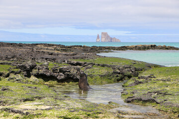 Galapagos islands landscape 