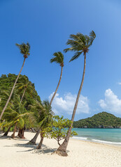 Landscape view coconut palm trees on tropical beach at Wua Ta Lap island, Angthong Islands National Marine Park ,Surat Thani, Thailand