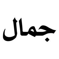 Jamal Muslim Girls Name Naskh Font Arabic Calligraphy