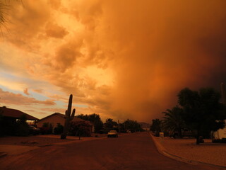 Fototapeta na wymiar Amazing Summer Haboob Dust Storm in Arizona 