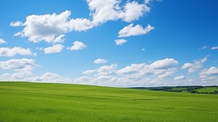 Fototapeta premium Beautiful grassy fields and summer blue sky with fluffy white clouds