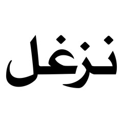 Nazgul Muslim Girls Name Naskh Font Arabic Calligraphy