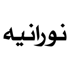 Nooraniyah Muslim Girls Name Naskh Font Arabic Calligraphy