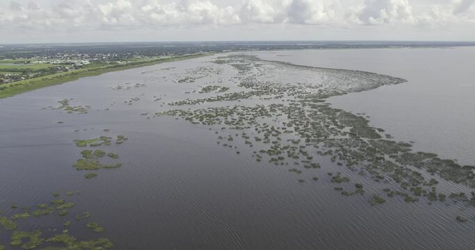 Aerial view of Lake Okeechobee in Florida with aquatic vegetation