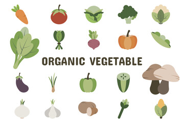 Organic Vegetable Flat Vector Illustration Icon Sticker Set Design Materials