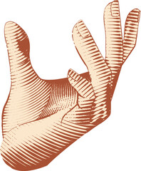 Vintage Engraving Drawing Hand