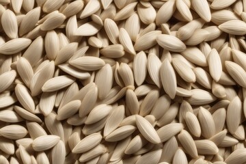 an Raw white pumpkin seeds rotating