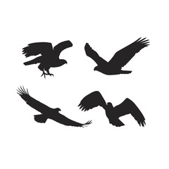 Fototapeta premium Eagle icon vector - illustration