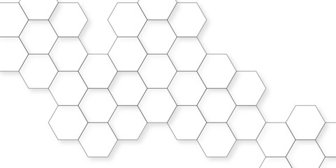 Abstract background with hexagonal hexagon polygonal pattern vector. 3d seamless bright white web cell line grid digital tile abstract honeycomb background.