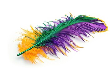 Colorful Mardi Gras feather in purple, green, and yellow on a white background.