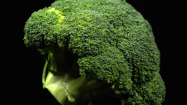 Close up macro of fresh big broccoli rotating on a black background