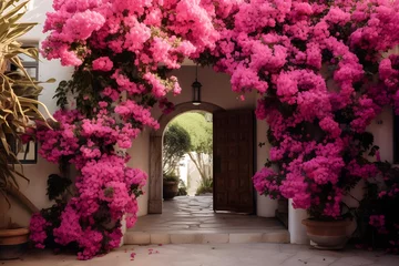 Poster Blushing Beauty Pink Bougainvillea Delight © Harmony