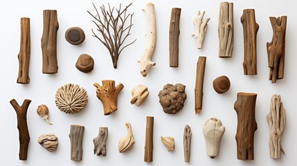 driftwood, each with unique patterns and textures, are displayed against a white backdrop