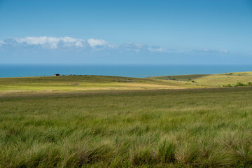 The Wild Coast, known also as the Transkei, open veld, fields of grassland and steamy jungle or coastal forests. The rugged and unspoiled Coastline and grasslands and African veld grazing for Nguni ca