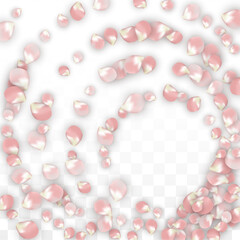 Pink Vector Realistic Petals Falling on Transparent Background.  Spring Romantic Flowers Illustration. Flying Petals. Sakura Spa Design. Blossom Confetti. Design Elements for Wedding Decoration.