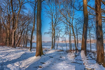 Winter's Embrace A Snowy Forest Scene Generative AI