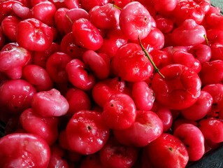 Chambakka, a bell shaped fruit also known as red rose apple