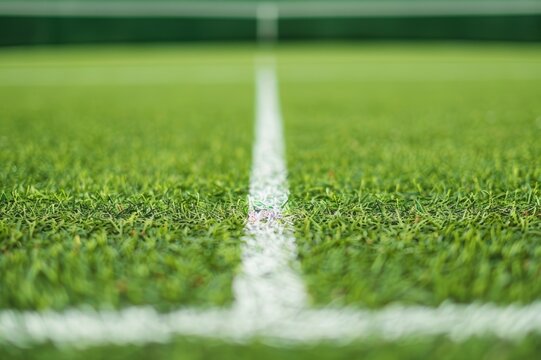 Close-up cancha de tenis de césped, fotografía minimalista de una pista de entrenamiento 