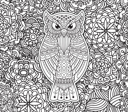 hand draw owl mandala coloring page for adult books