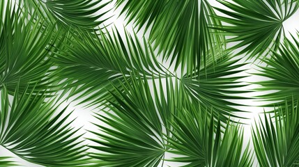 Obraz premium Tropical Harmony: Collection of Palm Leaves Forming a Green Leaves Pattern