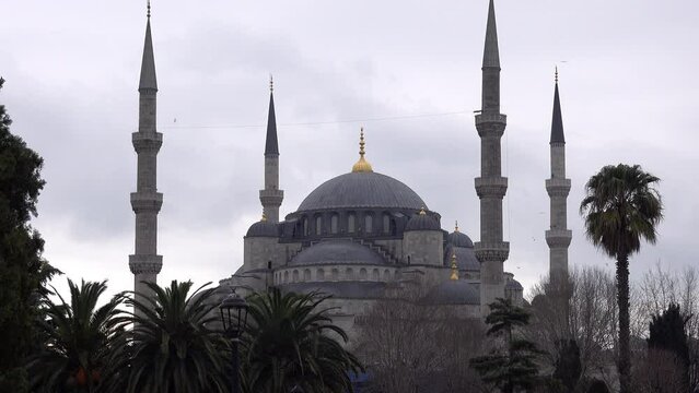 Real time of famous Blue Mosque located in Istanbul placed among palm trees against overcast sky during daytime