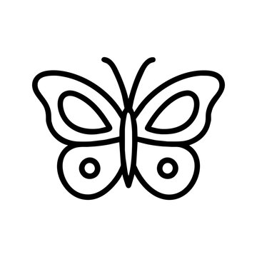 Butterfly icon. Insect vector linear pictogram. Summer symbol. Logo design.