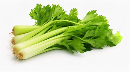 Crisp Celery Set: No Background with White Background