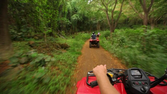 POV on four-wheeler in tropical forest