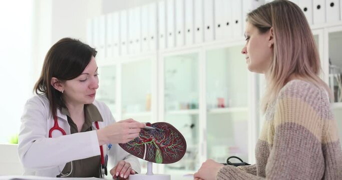 Doctor showing structure of liver to patient on anatomical model in clinic 4k movie slow motion. Diagnosis and treatment of hepatitis and cirrhosis concept