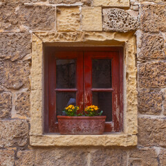 Fototapeta na wymiar Window with kalanhoe flowerpot on the Narrow street of ancient city Rabat with traditional maltese houses built of limestone, Victoria, Malta