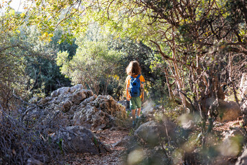 A boy with a backpack walks through the forest.  a child explores the wild nature, a cheerful child walks along a path among the trees.