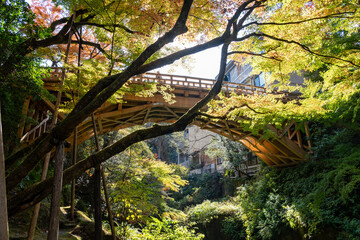 加賀温泉郷山中温泉の景勝地・鶴仙渓こおろぎ橋 © Nature K Photostudio